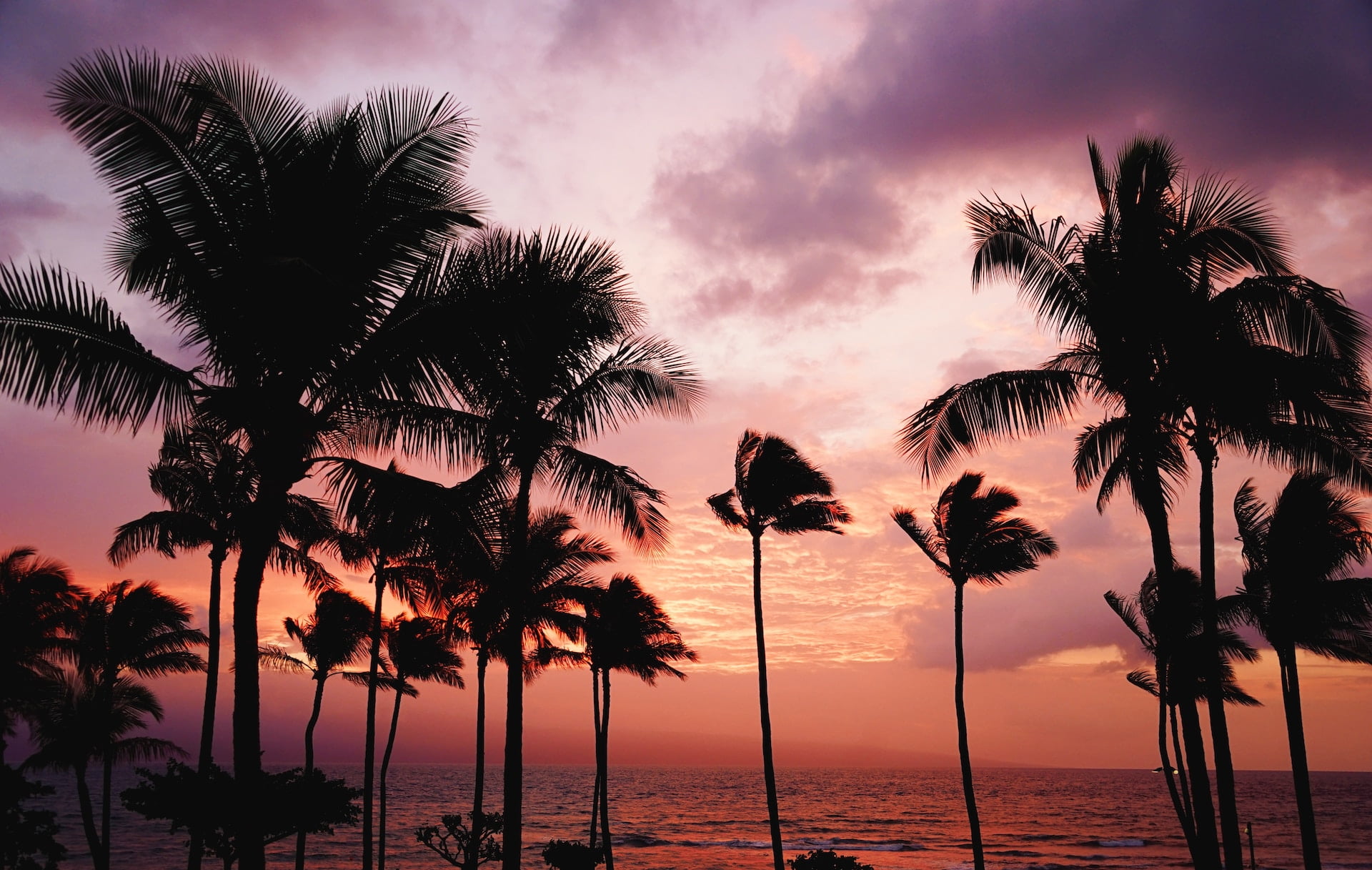 Dream of Hawaii? Top Money-Saving Tips to Make Your Trip Possible