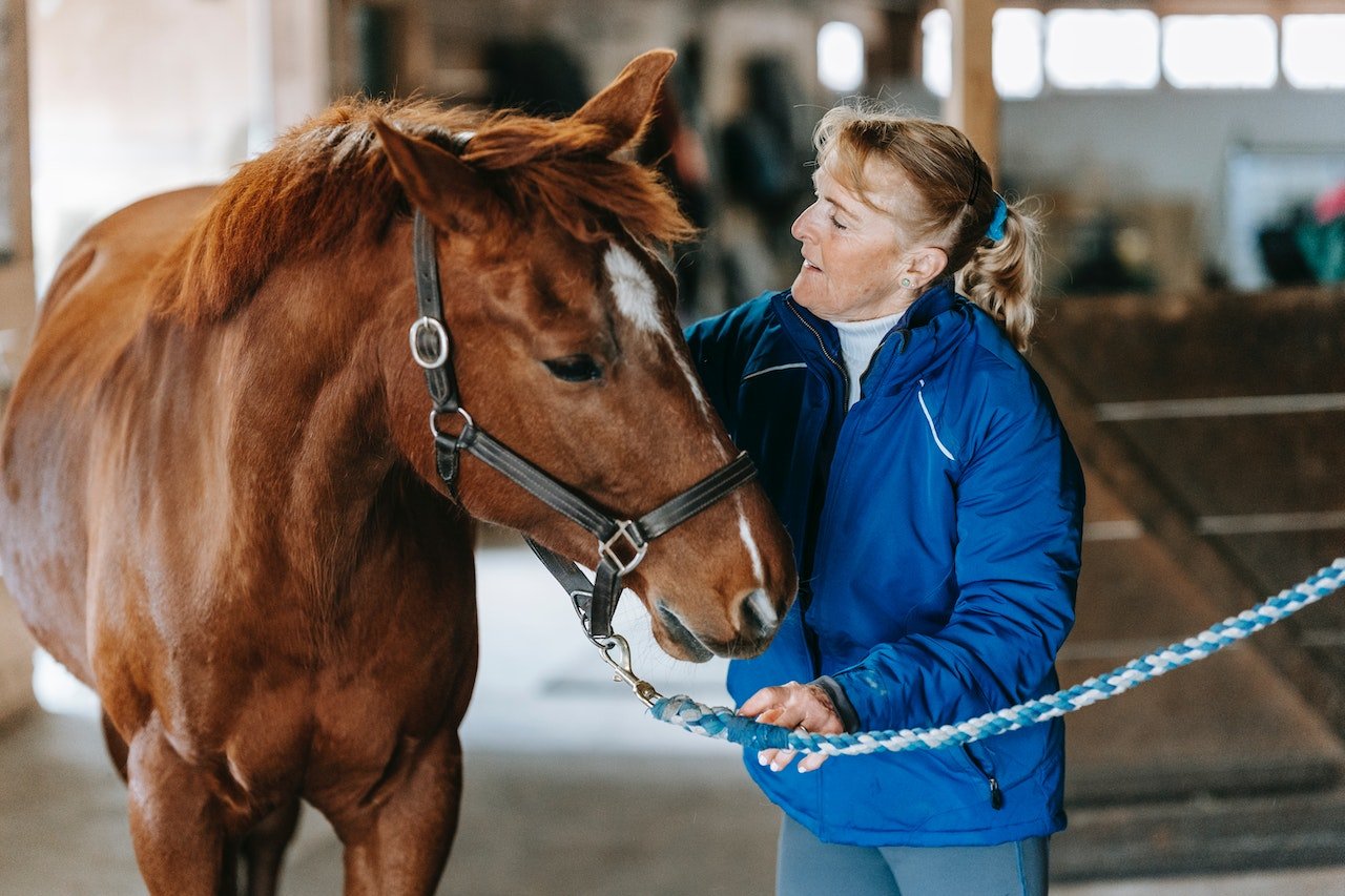 The Importance of Horse Insurance - Protecting Your Equine Investment