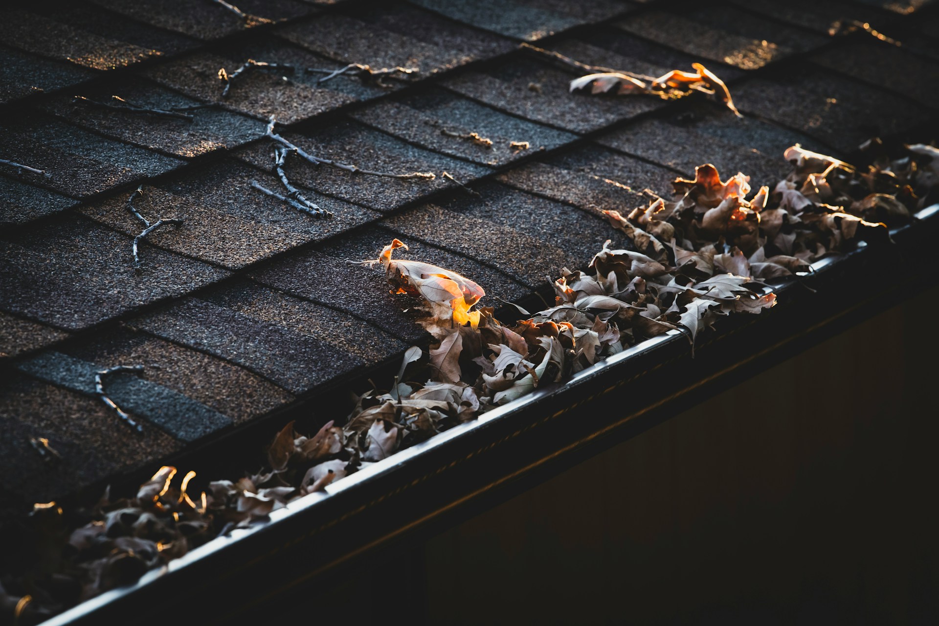 When Is the Best Time to Start Cleaning Your Gutters?