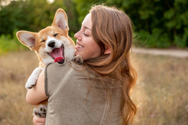 Eco-Friendly Aftercare Options for Pets in Portland